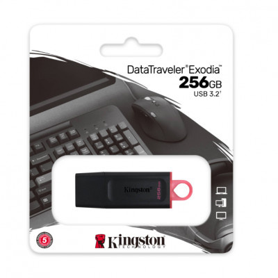 KINGSTON 256GB EXODİA USB 3.2 GEN1 DTX/256GB